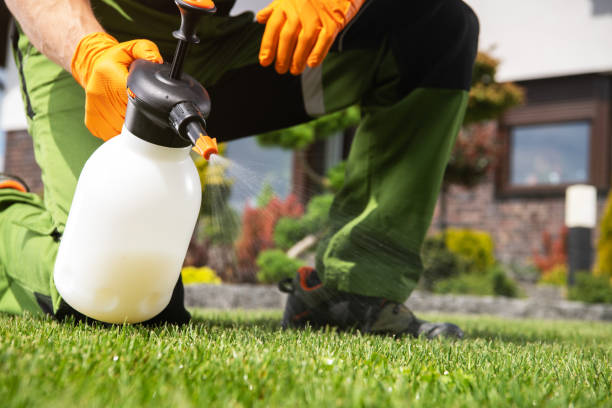 Flea Control Services in Jesup, IA