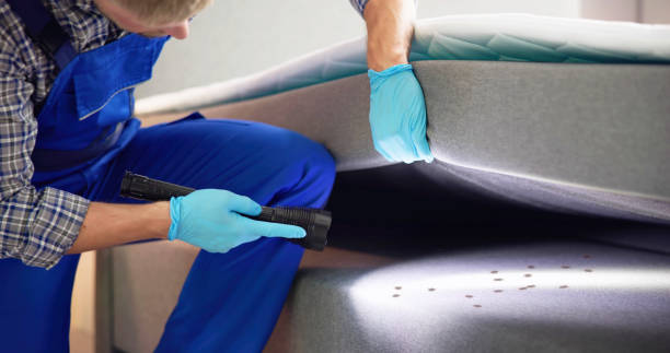 Best Pest Prevention Services  in Jesup, IA