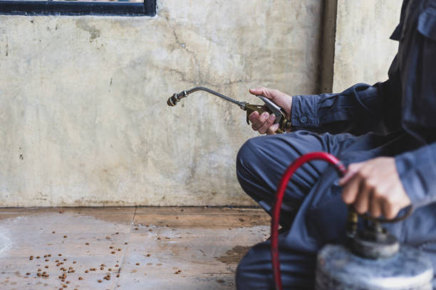 Best Pest Prevention Services  in Jesup, IA